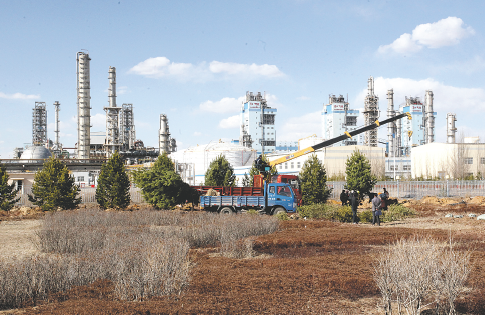 黄金城集团关于我们